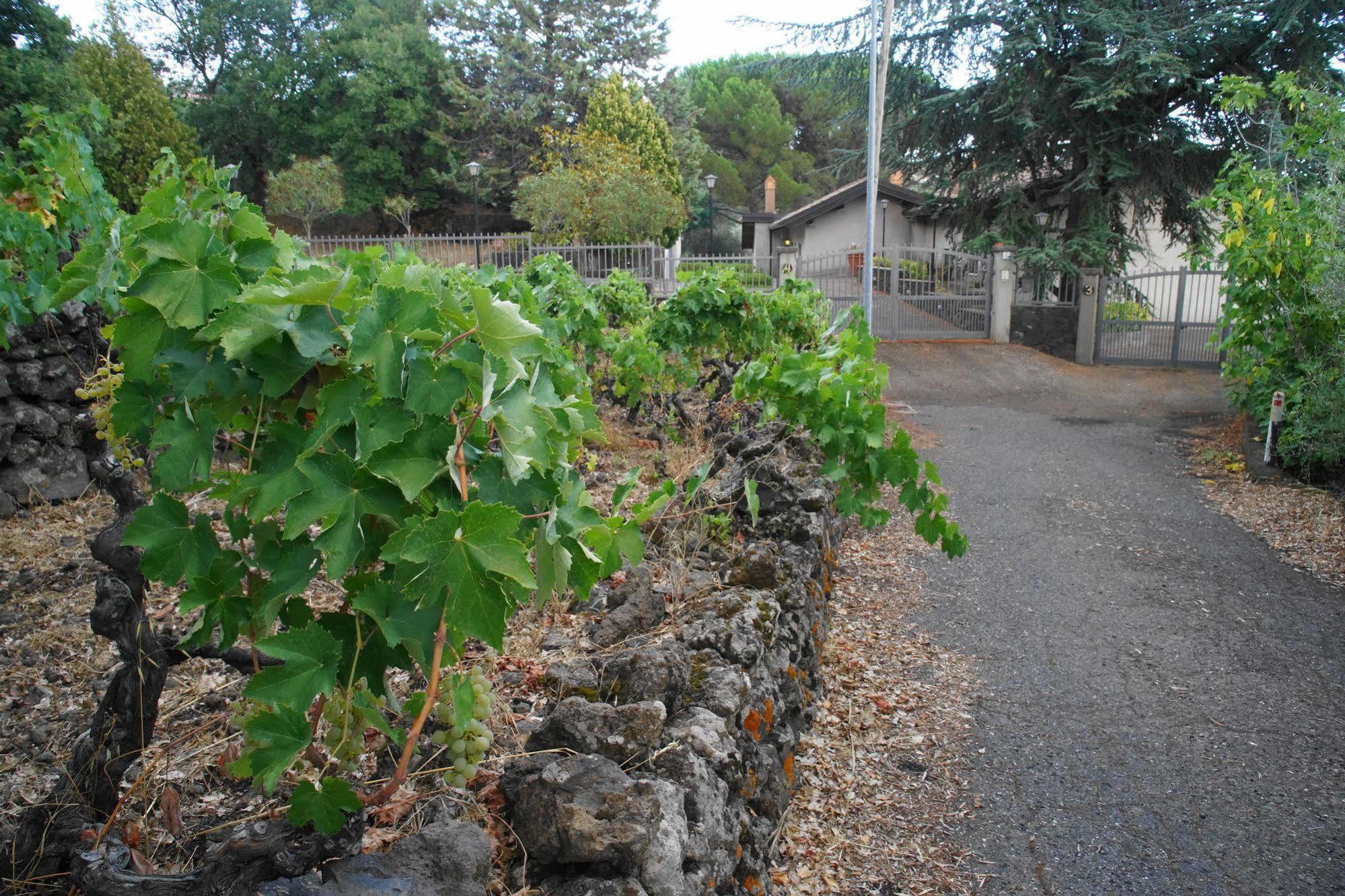 Вілла Etna Paradise Locazioni Brevi Ragalna Екстер'єр фото